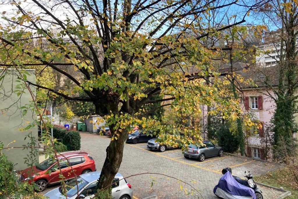 Parking & Appartement 2 Pieces Sans Traffic Lausana Exterior foto